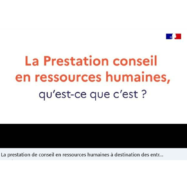 Prestation de conseil en ressources humaines pour les TPE-PME / Ministère du Travail