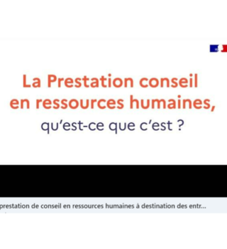 Prestation de conseil en ressources humaines pour les TPE-PME / Ministère du Travail